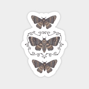 Copy of Death's Head Moth Taxidermy Sticker